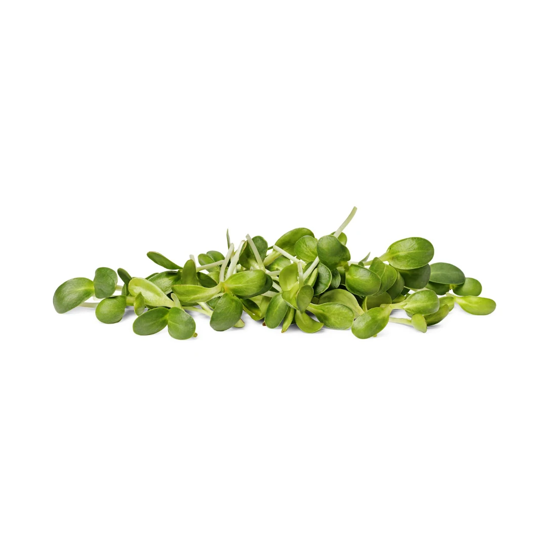 microgreens producto 1080 x 1080