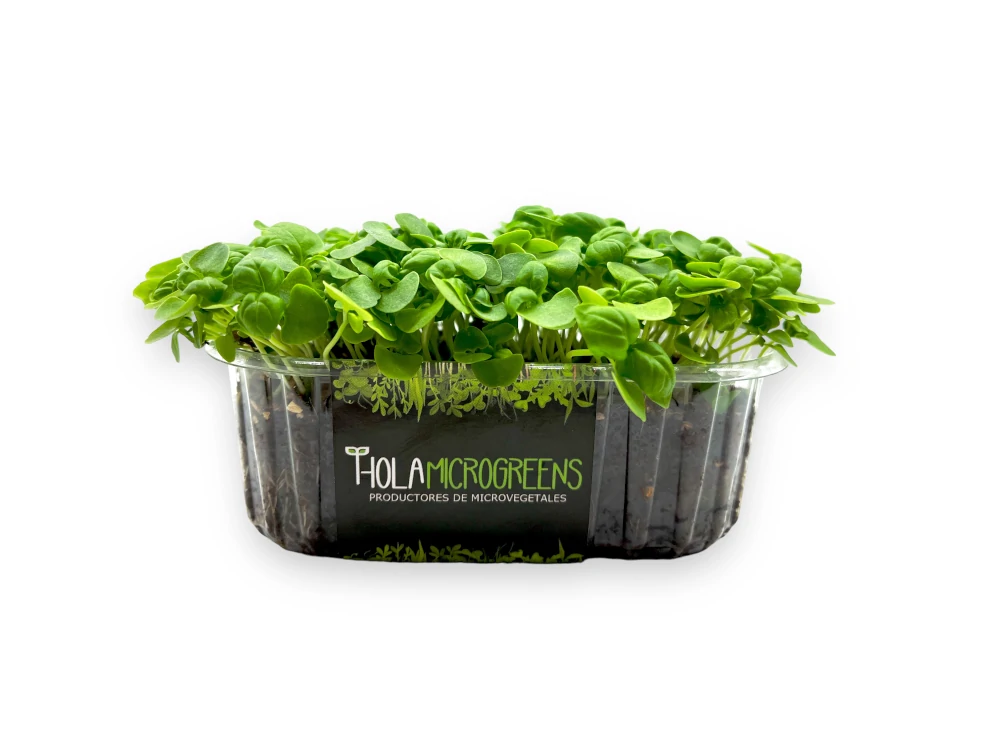 Microgreens de Albahaca tarrina logo