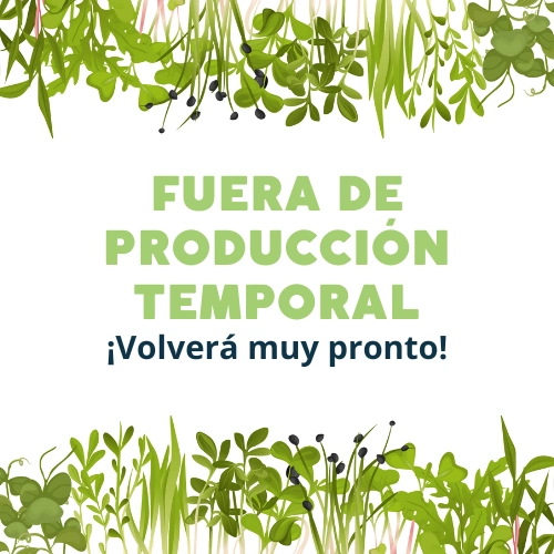 Microgreens de Acelga Amarilla - Imagen 2