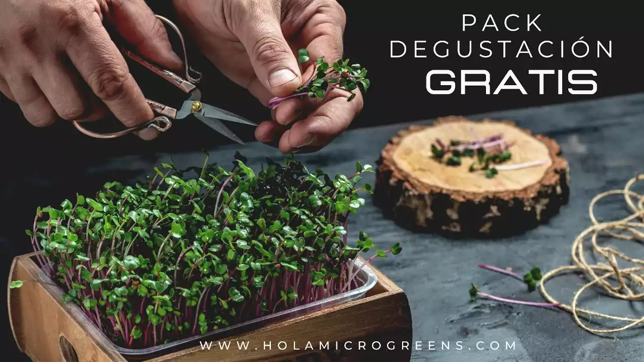 Promo-kit-degustacion-holamicrogreens-min