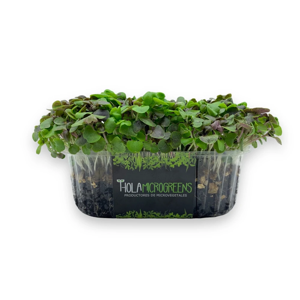 microgreens de albahaca morada y verde tarrina etiqueta