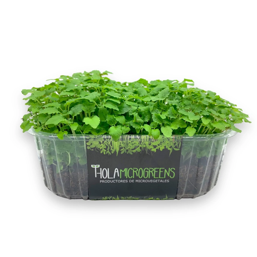 microgreens de lemon balm en tarrina holamicrogreens con etiqueta vista frontal